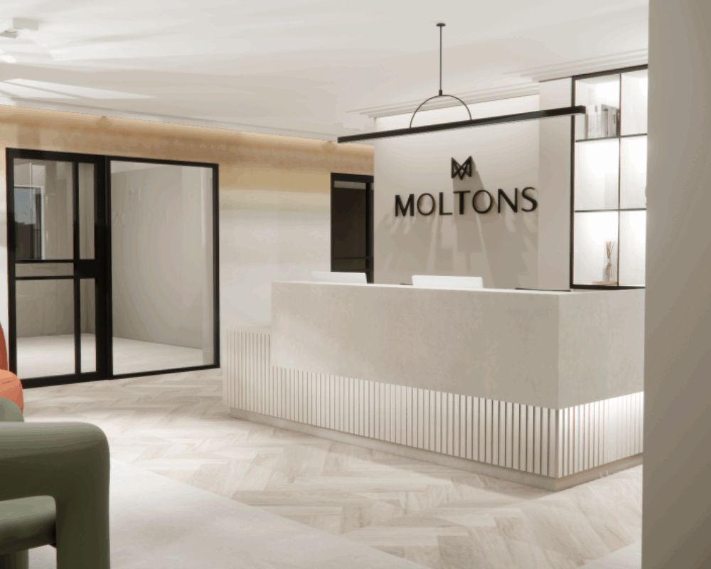 moltons interior5