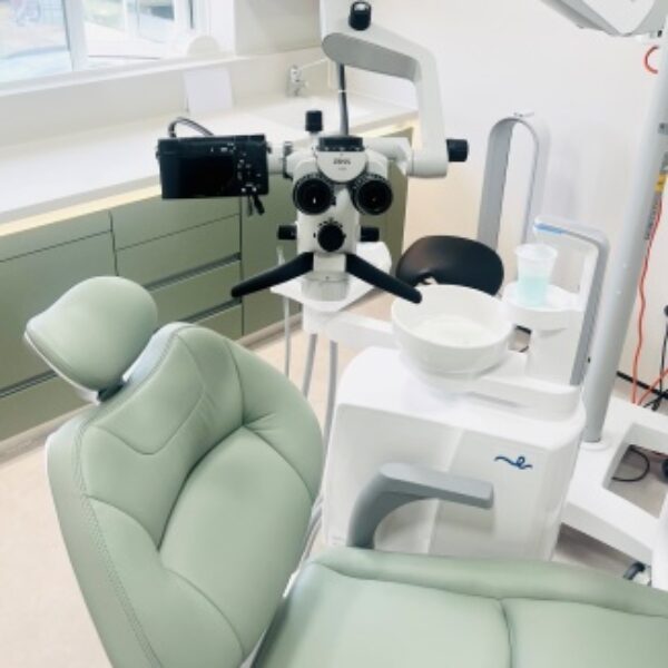 Moltons Dental